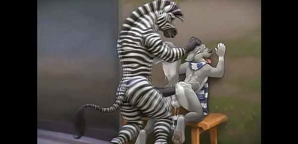  Zebras in November